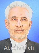 جعفر ثامنی